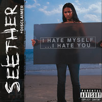 F**k It - Seether