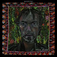 Not What You Say - Steve Kilbey