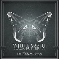 Rose - White Moth Black Butterfly