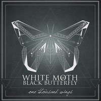 Omen - White Moth Black Butterfly