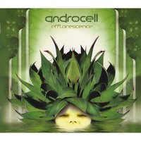 Process of Unfolding - Androcell