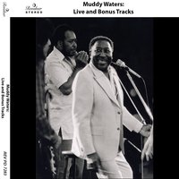 Toger in Your Tank - Muddy Waters