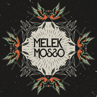Doğum Günü - Melek Mosso