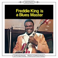 That Will Never Do - Freddie  King