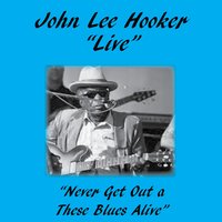 Never Get Out Of These Blues Alive - John Lee Hooker, Van Morrison