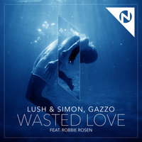 Wasted Love - Lush & Simon, Gazzo, Robbie Rosen