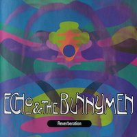 Devilment - Echo & the Bunnymen