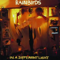 Pride - Rainbirds