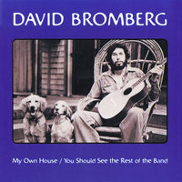 As The Years Go Passing By - David Bromberg