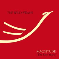 Northern England - The Wild Swans
