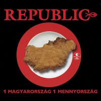 Amit nem értek - Republic