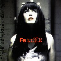 Fantasy World - Feline