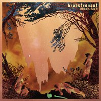Fossil - Brasstronaut