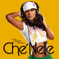 I Fell In Love With The DJ - Che'Nelle