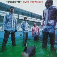 On the Sneak - Thrush Hermit