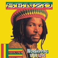 Who's Gonna Care? - Senzo