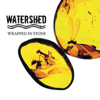Come Home With Me - Watershed