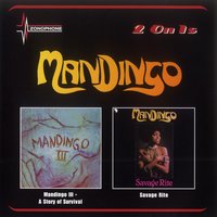 Requiem For A Warrior - Mandingo