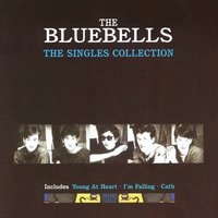 Everybody'S Somebody'S Fool - The Bluebells