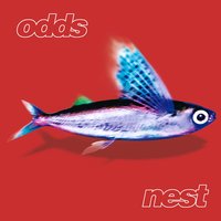At Your Word - Odds