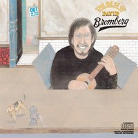 The New Lee Highway Blues - David Bromberg