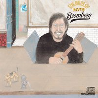 Suffer to Sing The Blues - David Bromberg