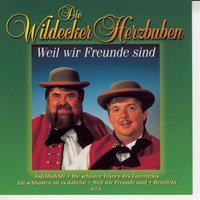 Herzilein - Die Wildecker Herzbuben