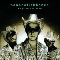 Light Breeze - Bananafishbones