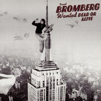 Wallflower - David Bromberg