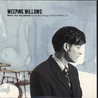 When You Are Asleep - Weeping Willows