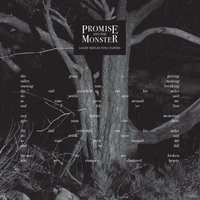 Light Reflecting Papers - Promise And The Monster