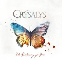 Time For Vultures - Crysalys