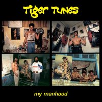 Tiger Tunes