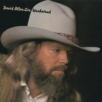 Snowblind Friend - David Allan Coe