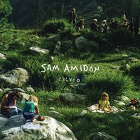 Down the Line - Sam Amidon