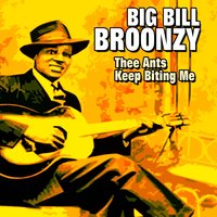 Just a Dream(On My Mind) - Big Bill Broonzy