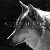 Life & Death - Counting Days