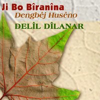 Derweşe Evdi - Delil Dilanar