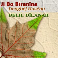 Rizgan ü Nure - Delil Dilanar