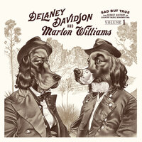 Please Don't Let Me Love You - Delaney Davidson, Marlon Williams