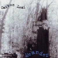 Winter's Dream - Carbon Leaf