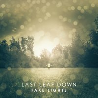 Fake Lights In The Sky - Last Leaf Down