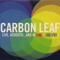 Block of Wood - Carbon Leaf