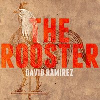 The Forgiven - David Ramírez