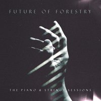 Traveler's Song - Future Of Forestry
