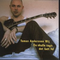 Du skulle tagit det helt fel - Tomas Andersson Wij