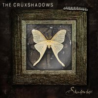 Foreverlast - The Crüxshadows