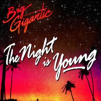 The Night Is Young (feat. Cherub) - Big Gigantic, Cherub