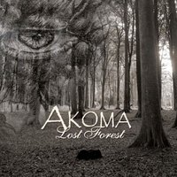 Forgotten Hero - Akoma