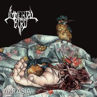 Akratic Seminar - Immortal Bird